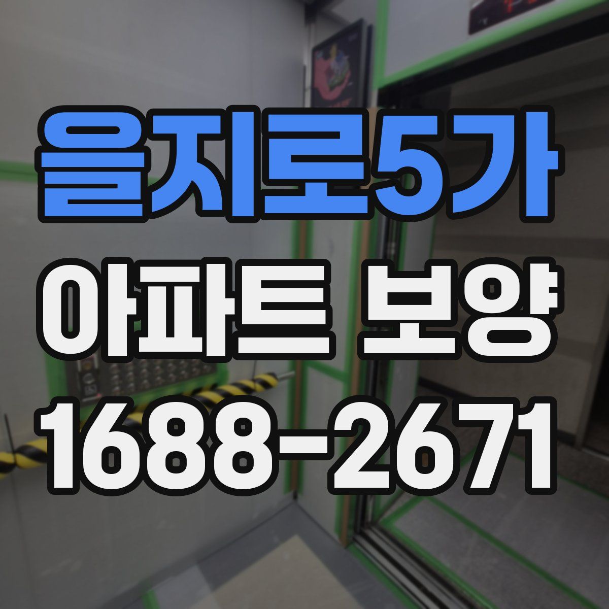 을지로5가 아파트 보양