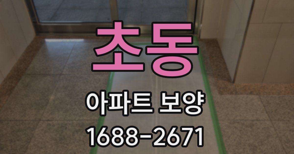 초동 아파트 보양