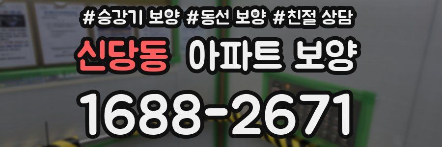 신당동 아파트 보양
