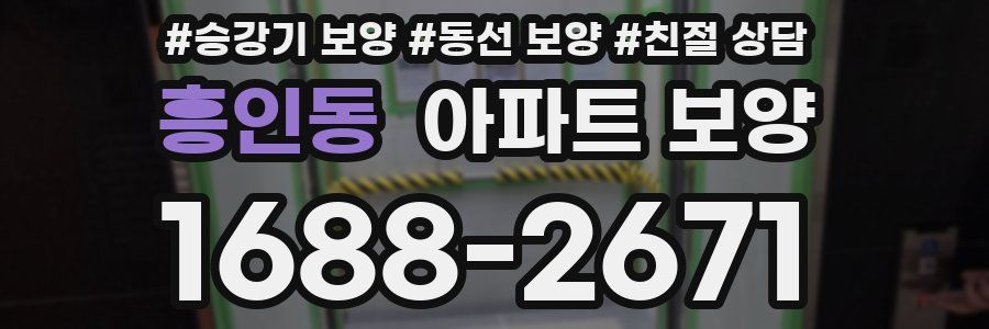 흥인동 아파트 보양