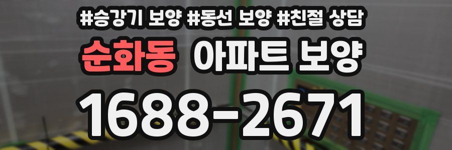 순화동 아파트 보양