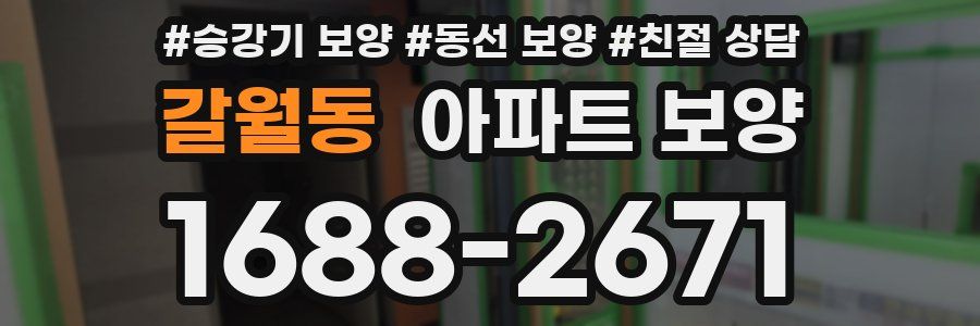 갈월동 아파트 보양