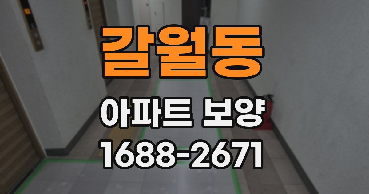 갈월동 아파트 보양