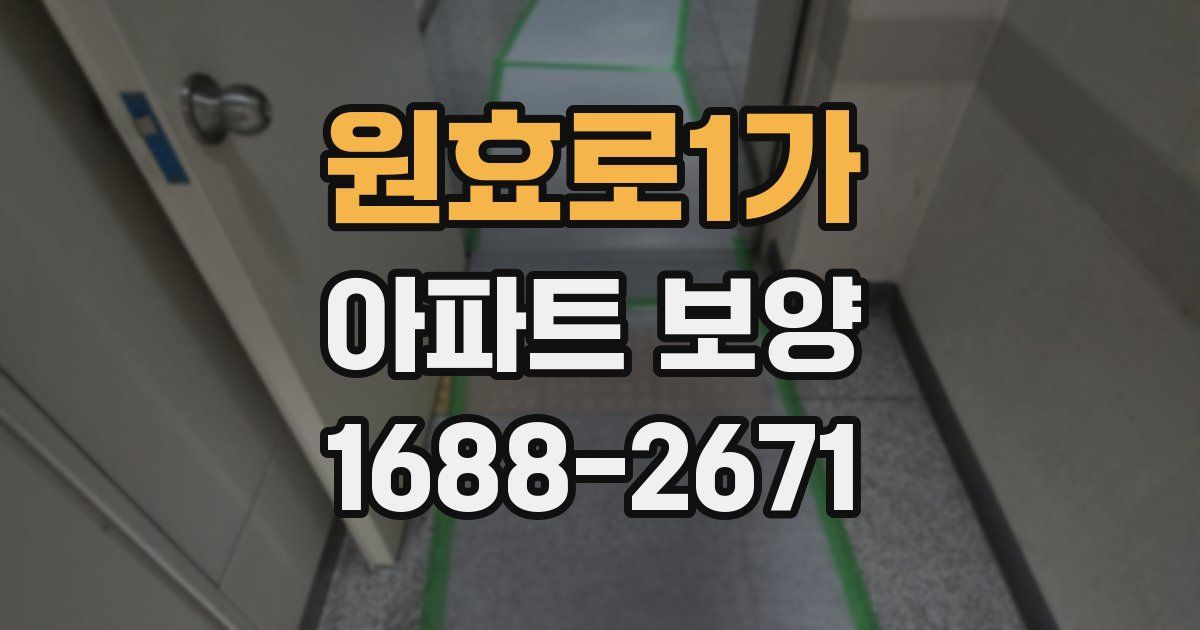 원효로1가 아파트 보양