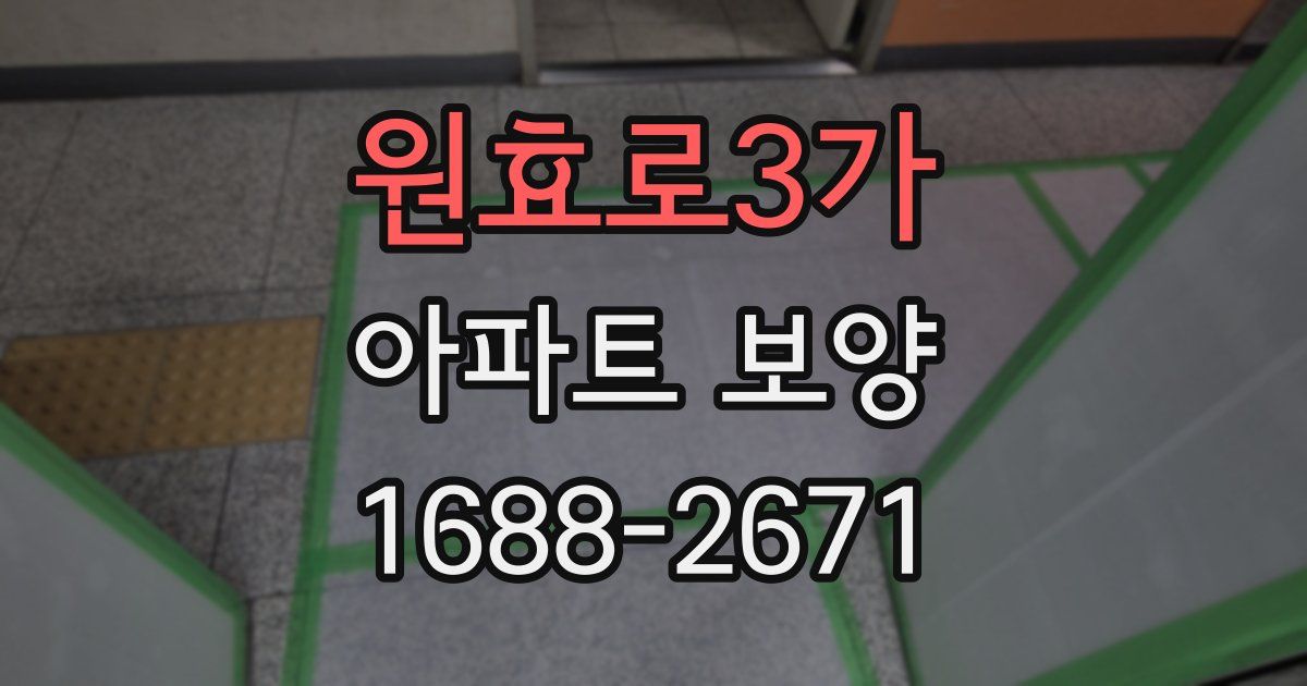 원효로3가 아파트 보양
