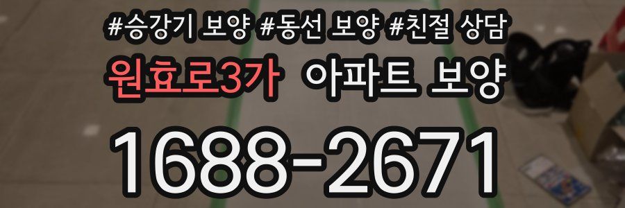 원효로3가 아파트 보양