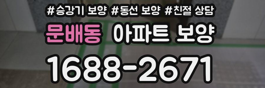 문배동 아파트 보양