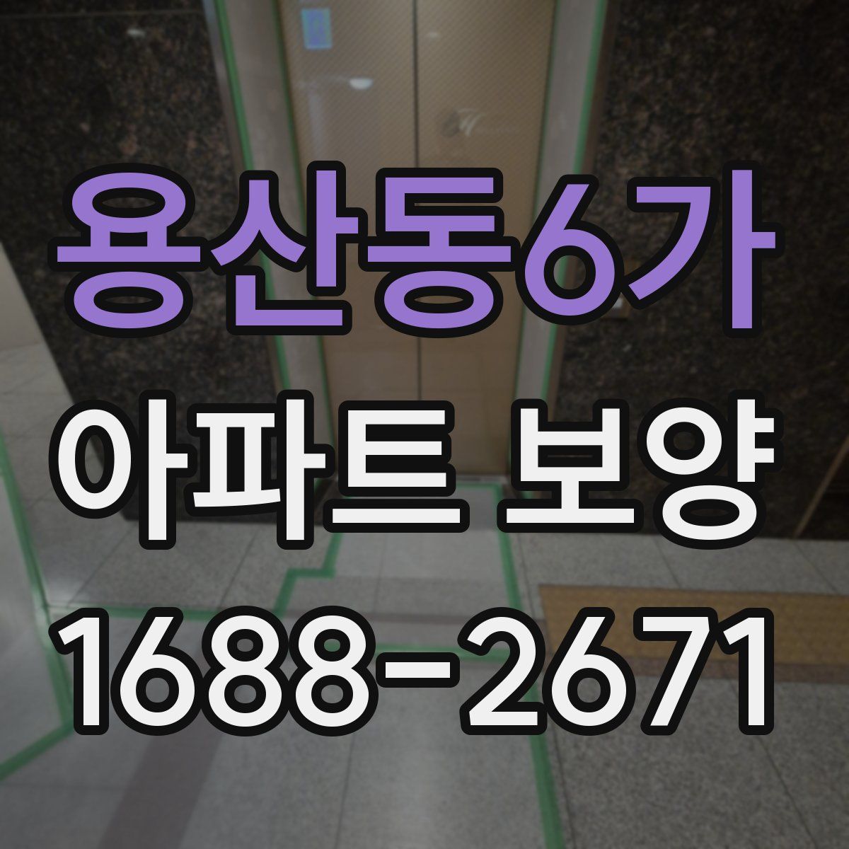 용산동6가 아파트 보양