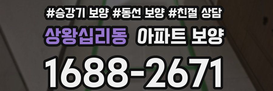 상왕십리동 아파트 보양