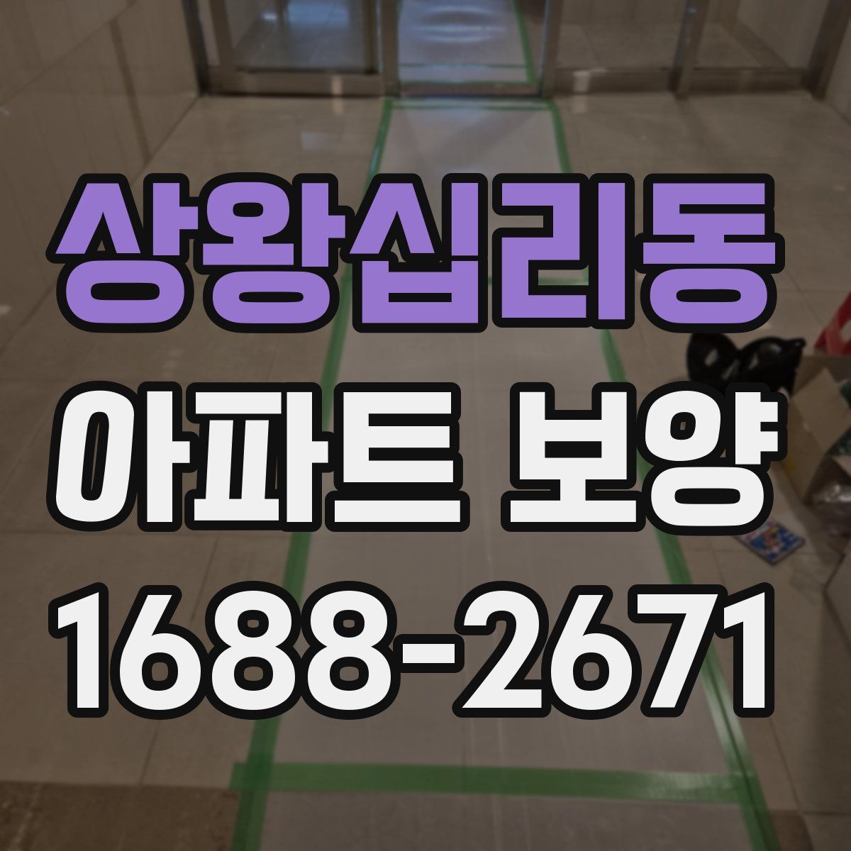 상왕십리동 아파트 보양