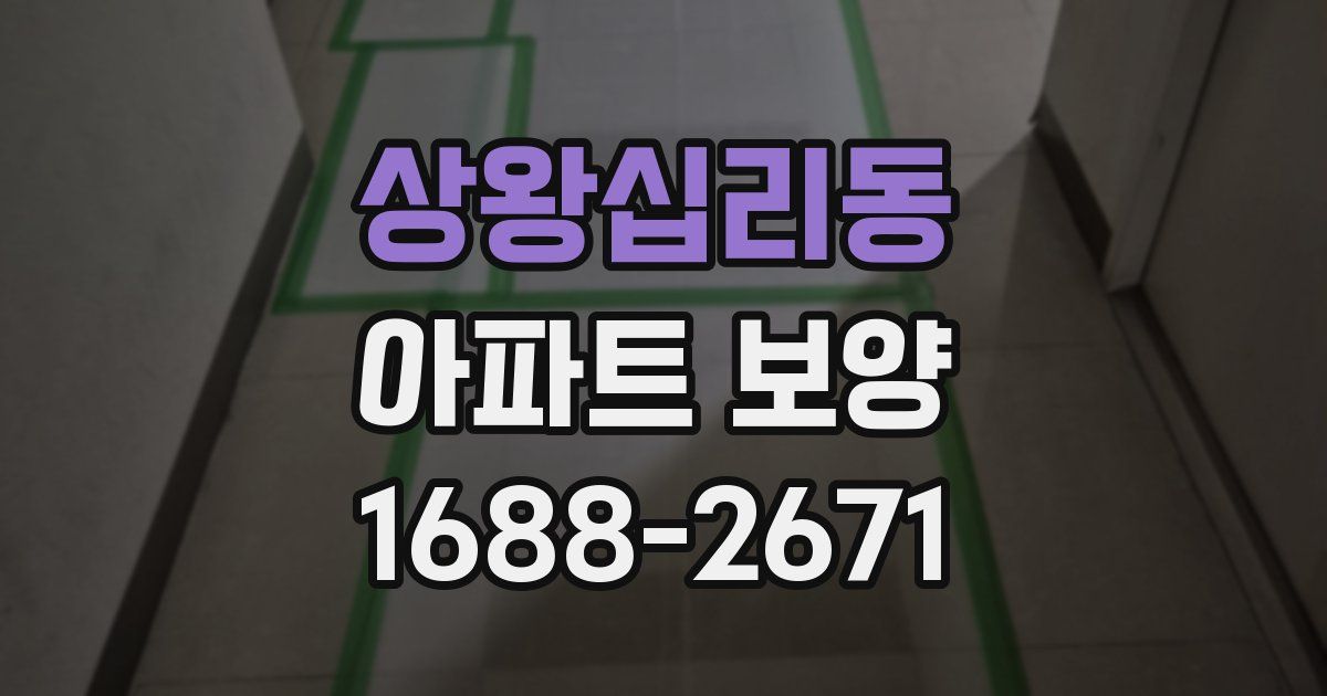 상왕십리동 아파트 보양