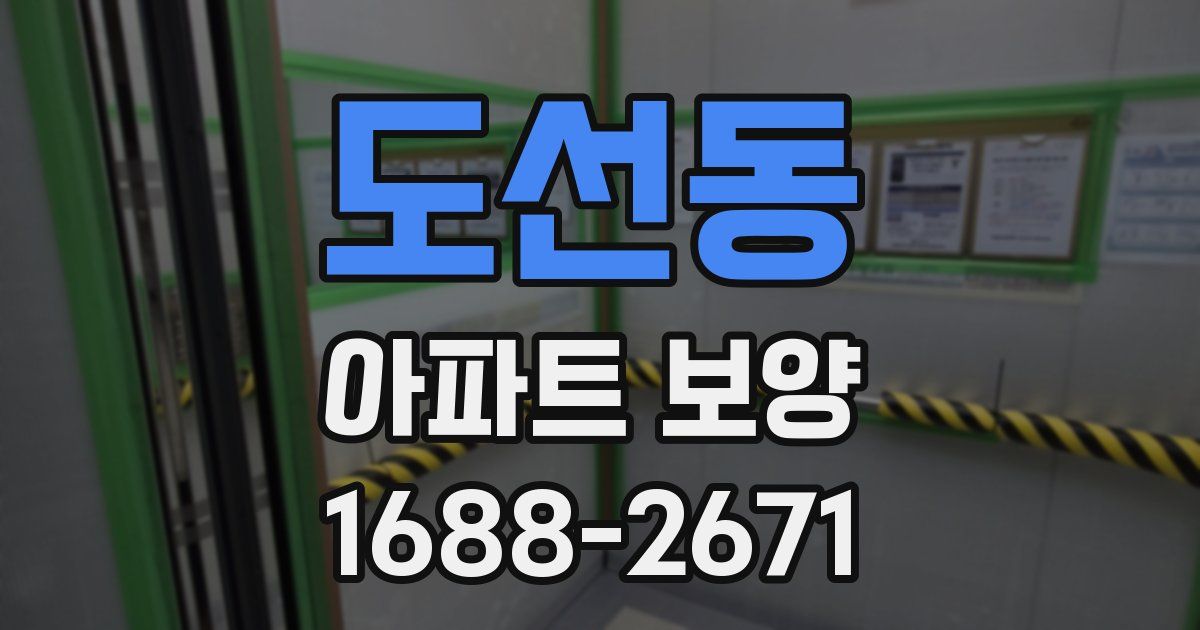 도선동 아파트 보양
