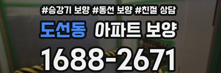 도선동 아파트 보양