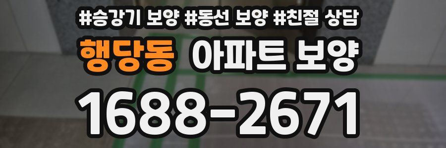 행당동 아파트 보양