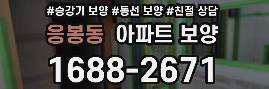 응봉동 아파트 보양