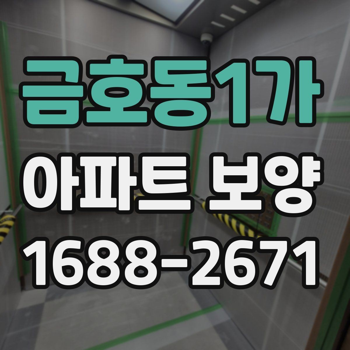 금호동1가 아파트 보양 현장 사진으로 보는 진행 과정