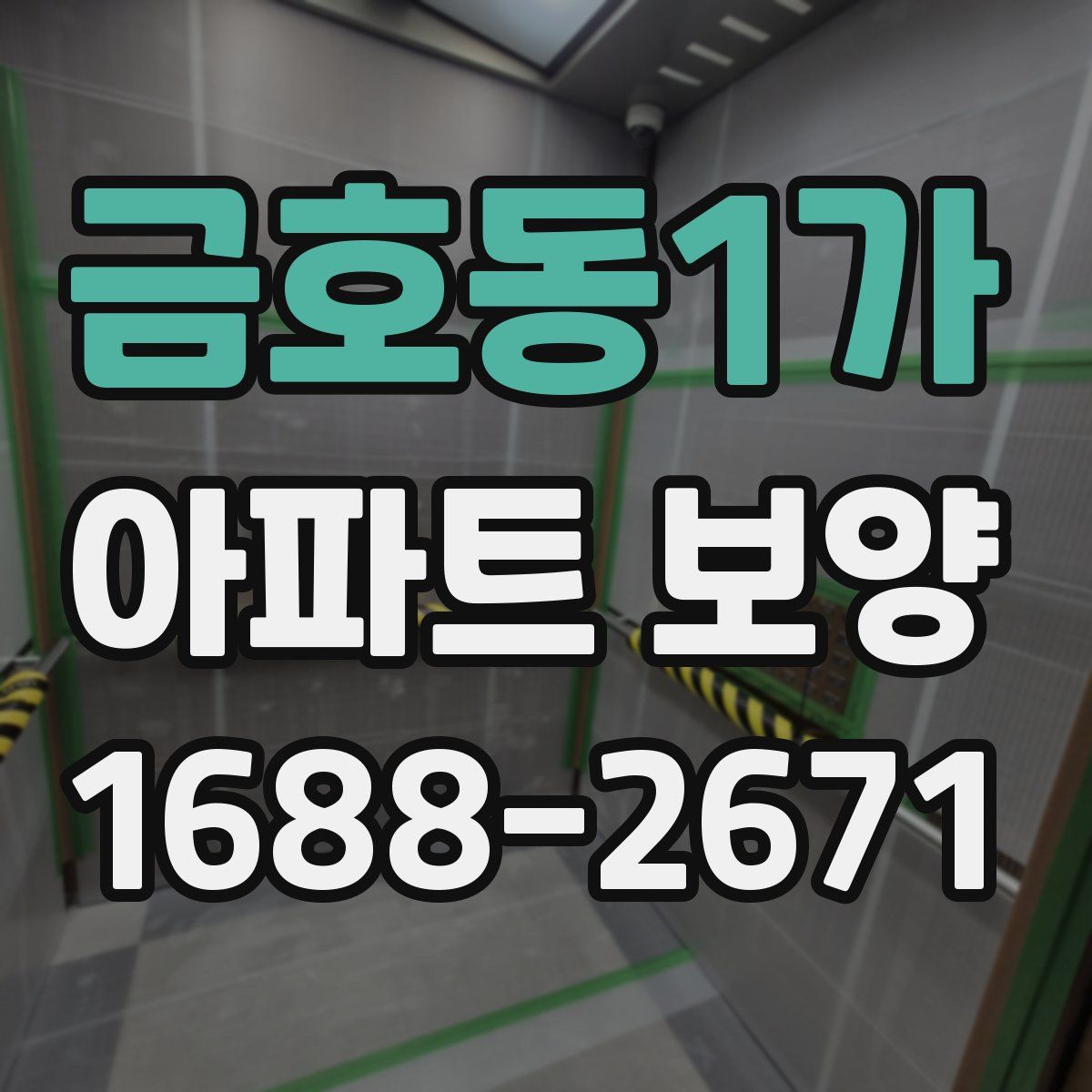 금호동1가 아파트 보양