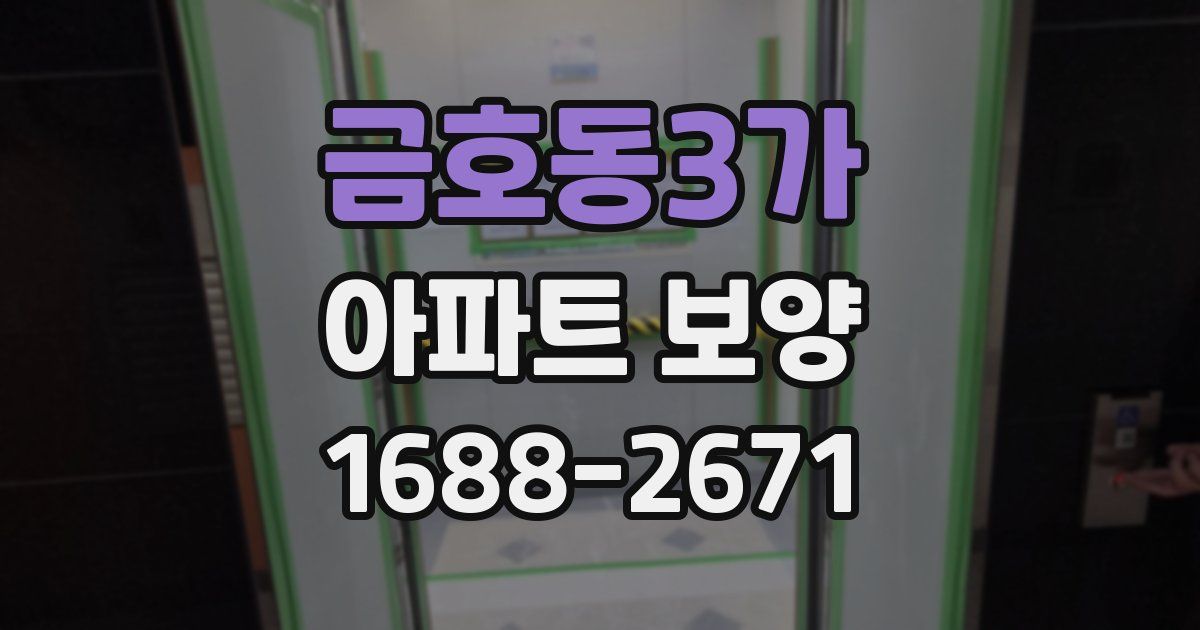 금호동3가 아파트 보양