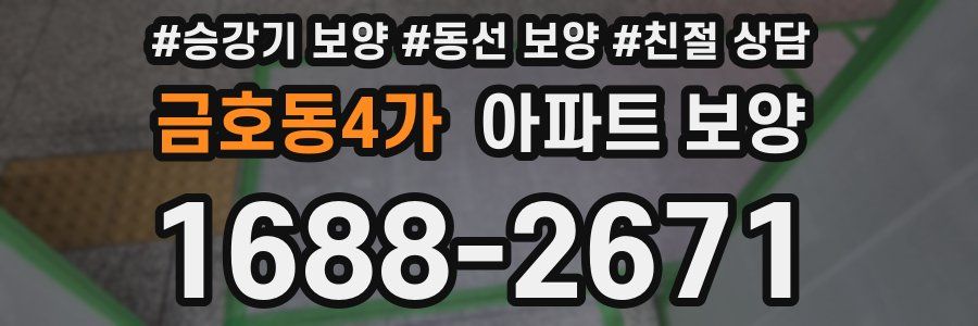 금호동4가 아파트 보양