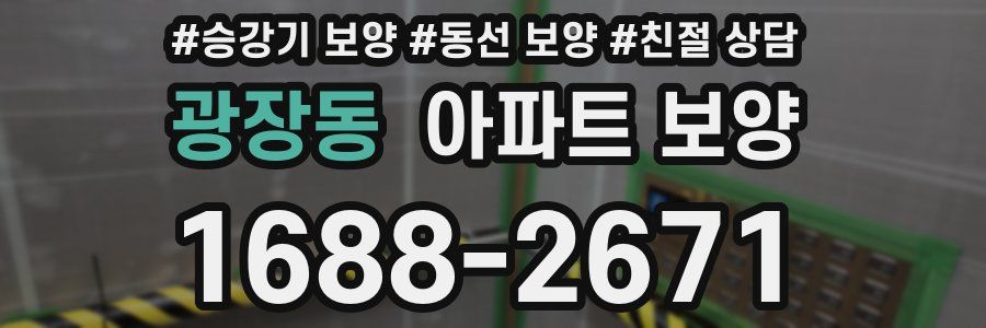 광장동 아파트 보양