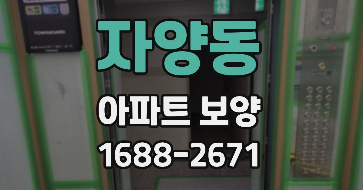 자양동 아파트 보양