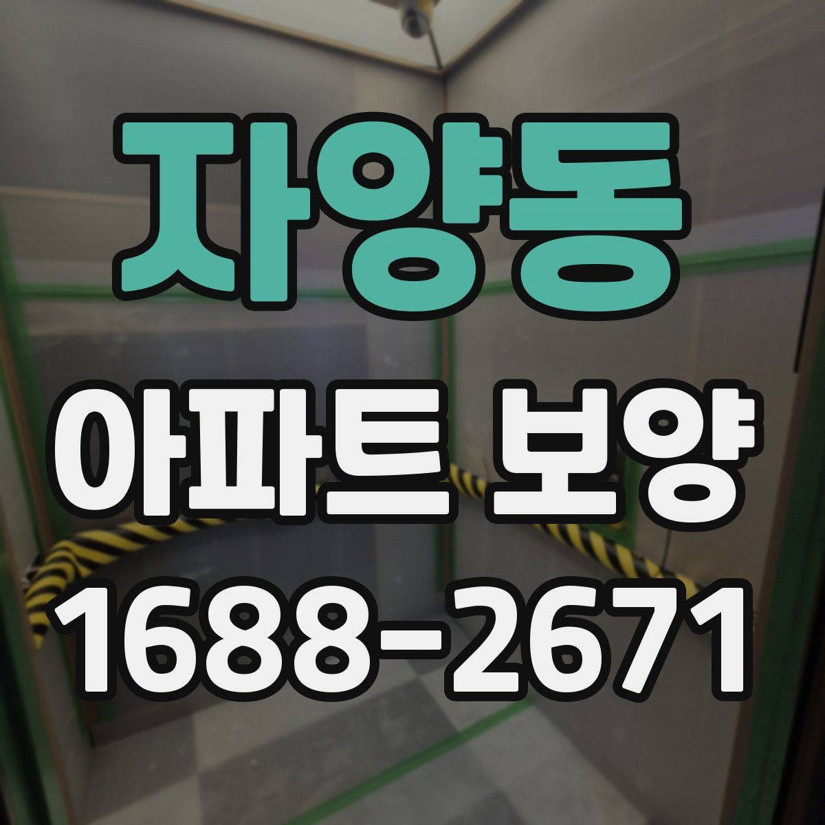 자양동 아파트 보양