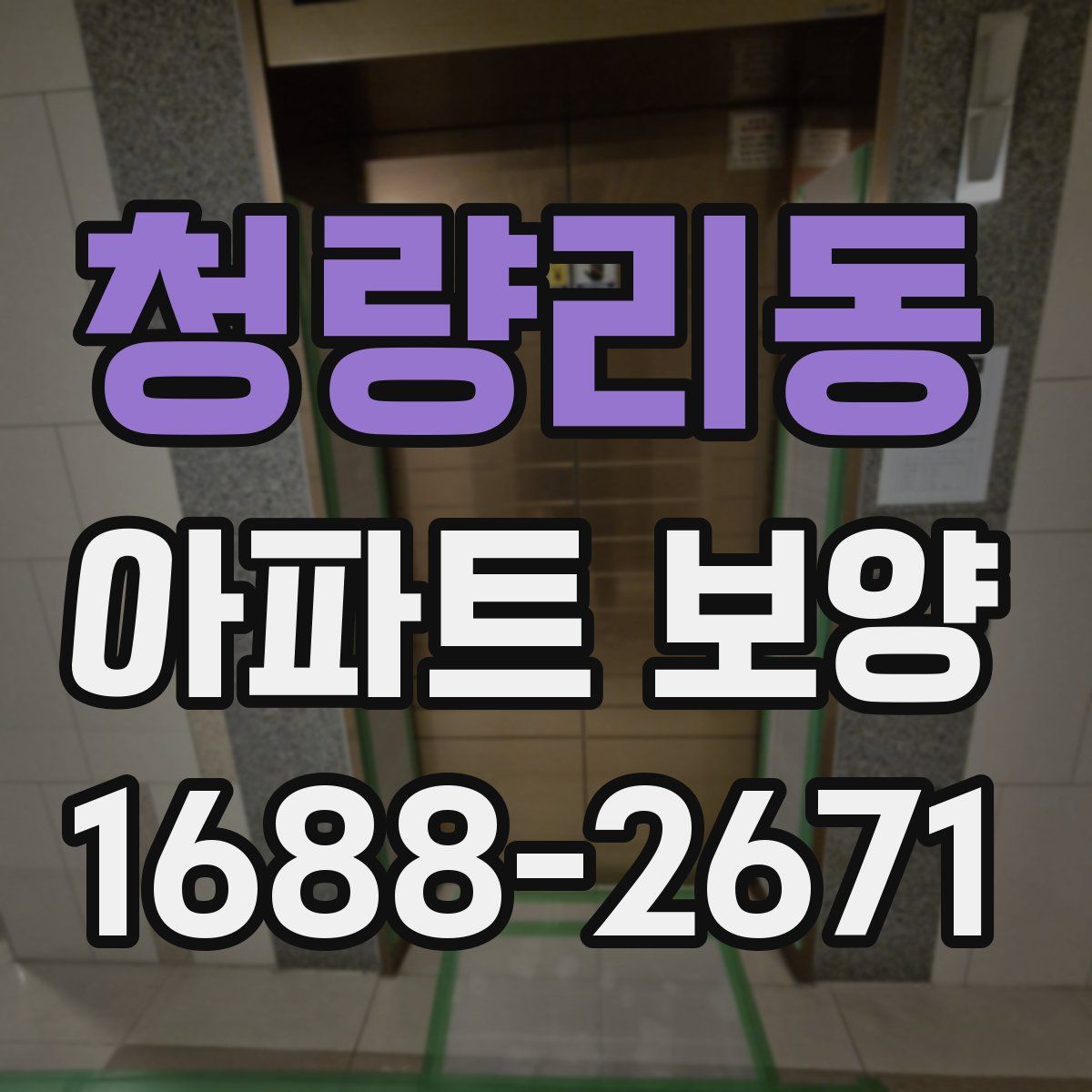 청량리동 아파트 보양