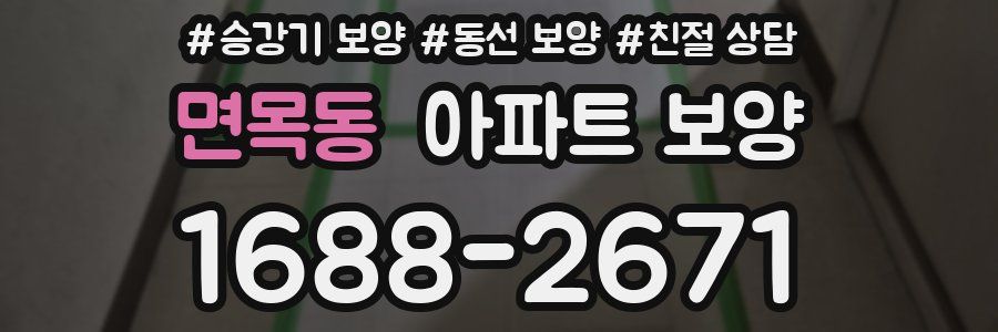 면목동 아파트 보양