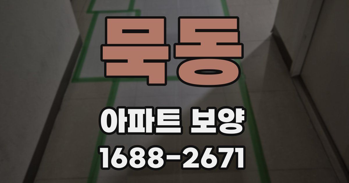 묵동 아파트 보양