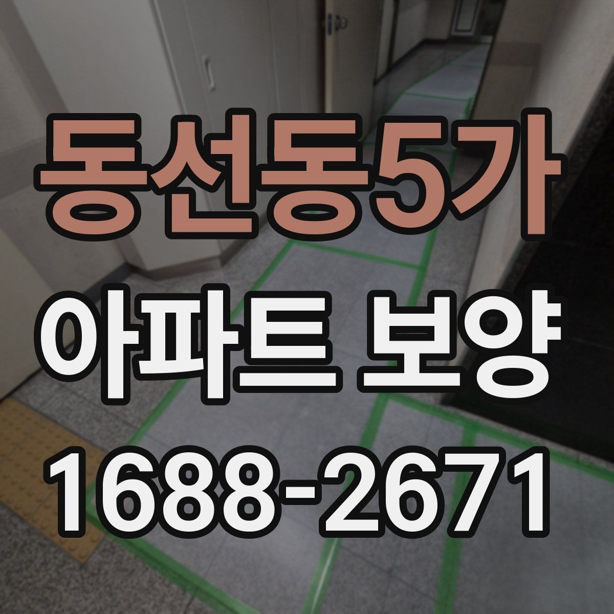 동선동5가 아파트 보양 범위를 정하기 전 살펴볼 사항