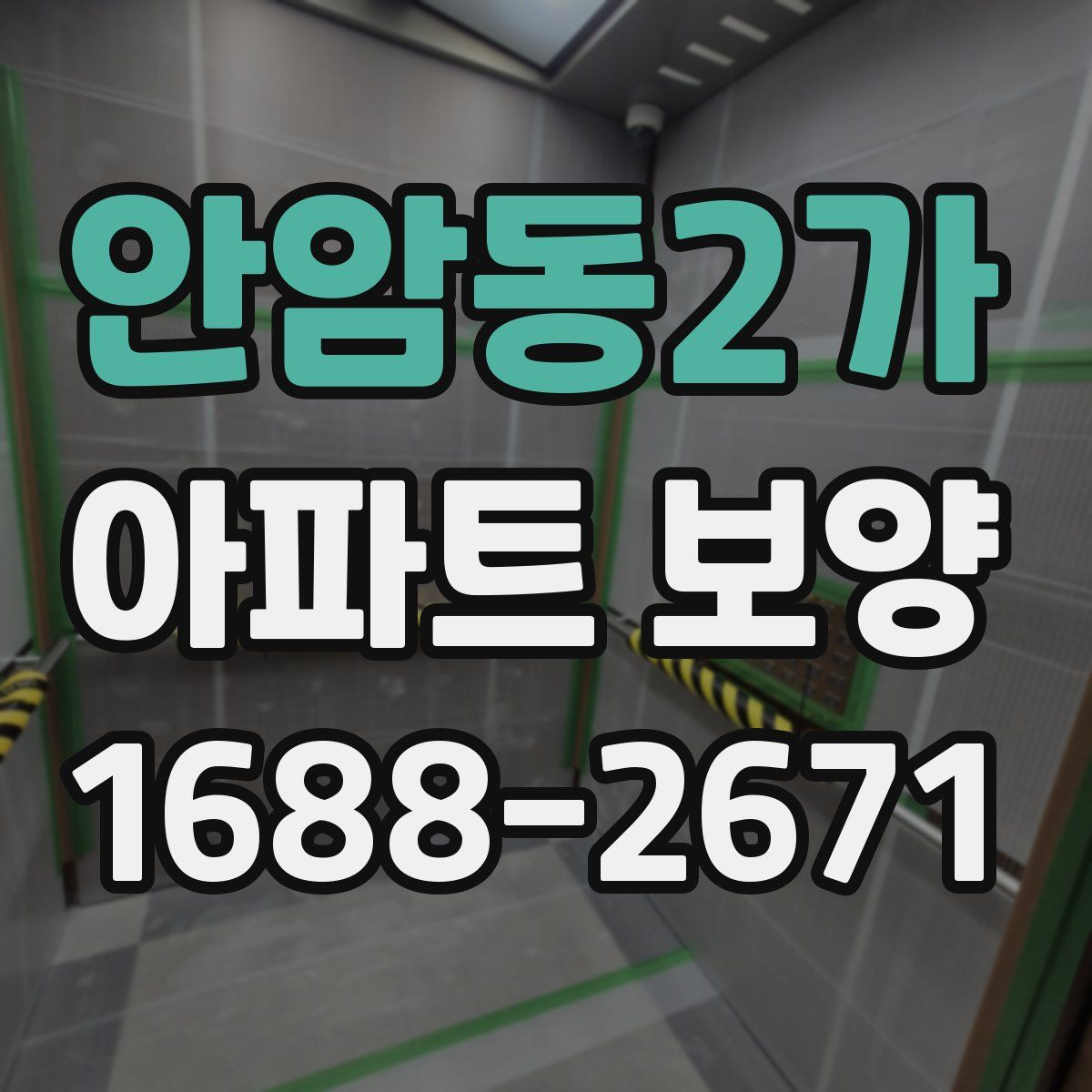 안암동2가 아파트 보양