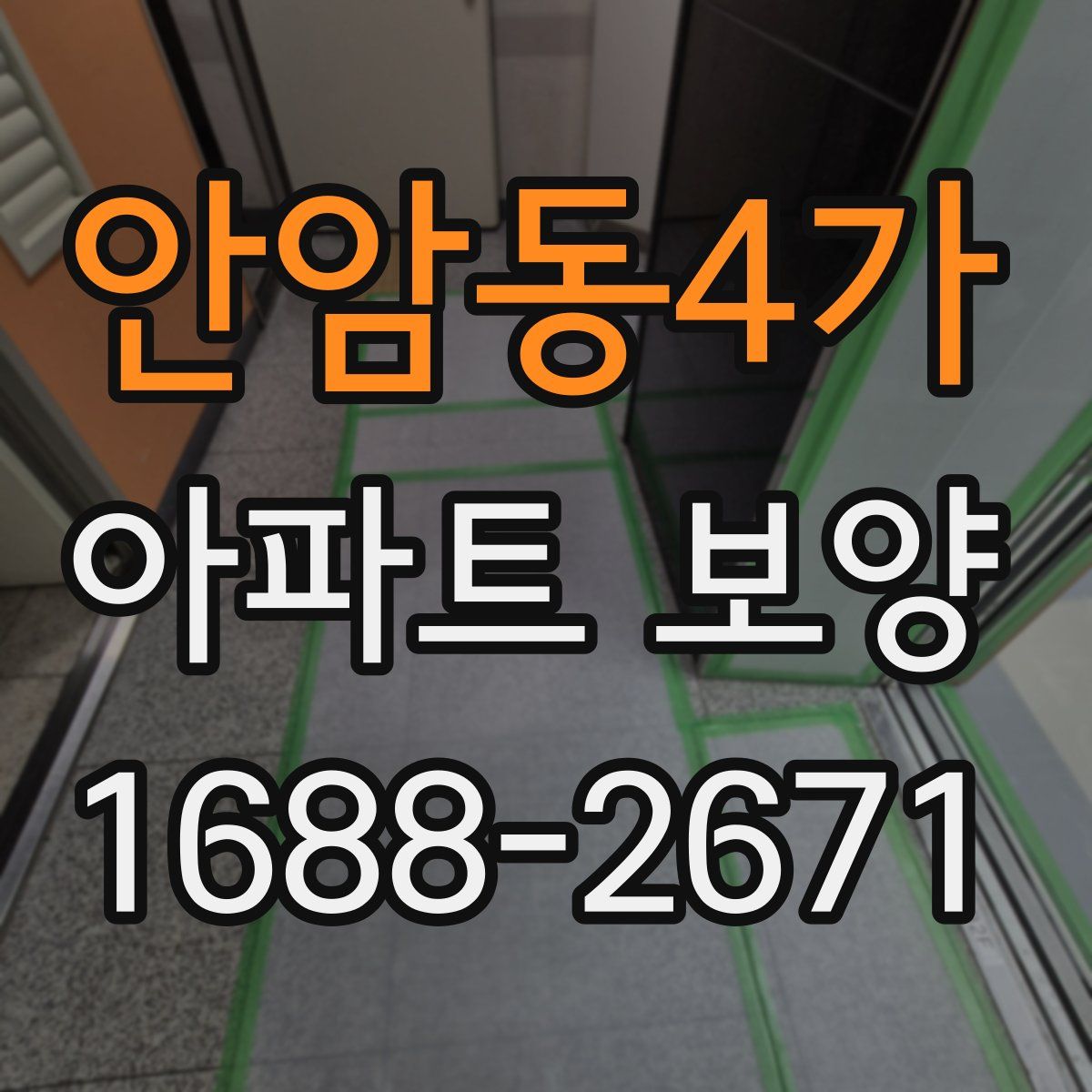 안암동4가 아파트 보양
