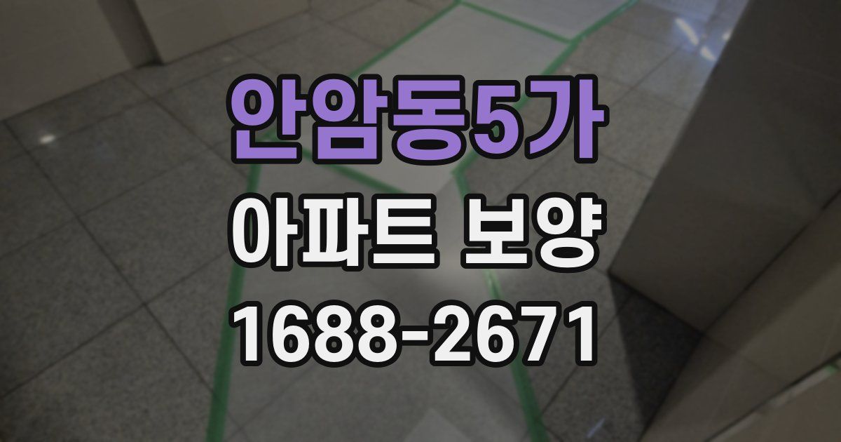 안암동5가 아파트 보양