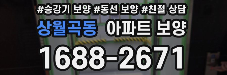 상월곡동 아파트 보양