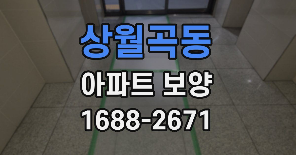 상월곡동 아파트 보양