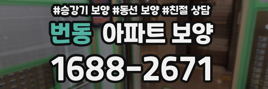 번동 아파트 보양