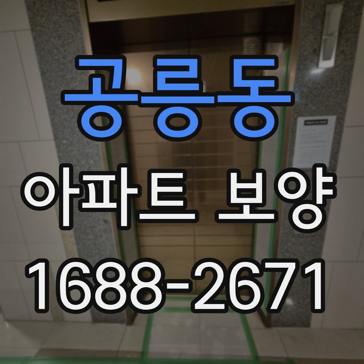 공릉동 아파트 보양