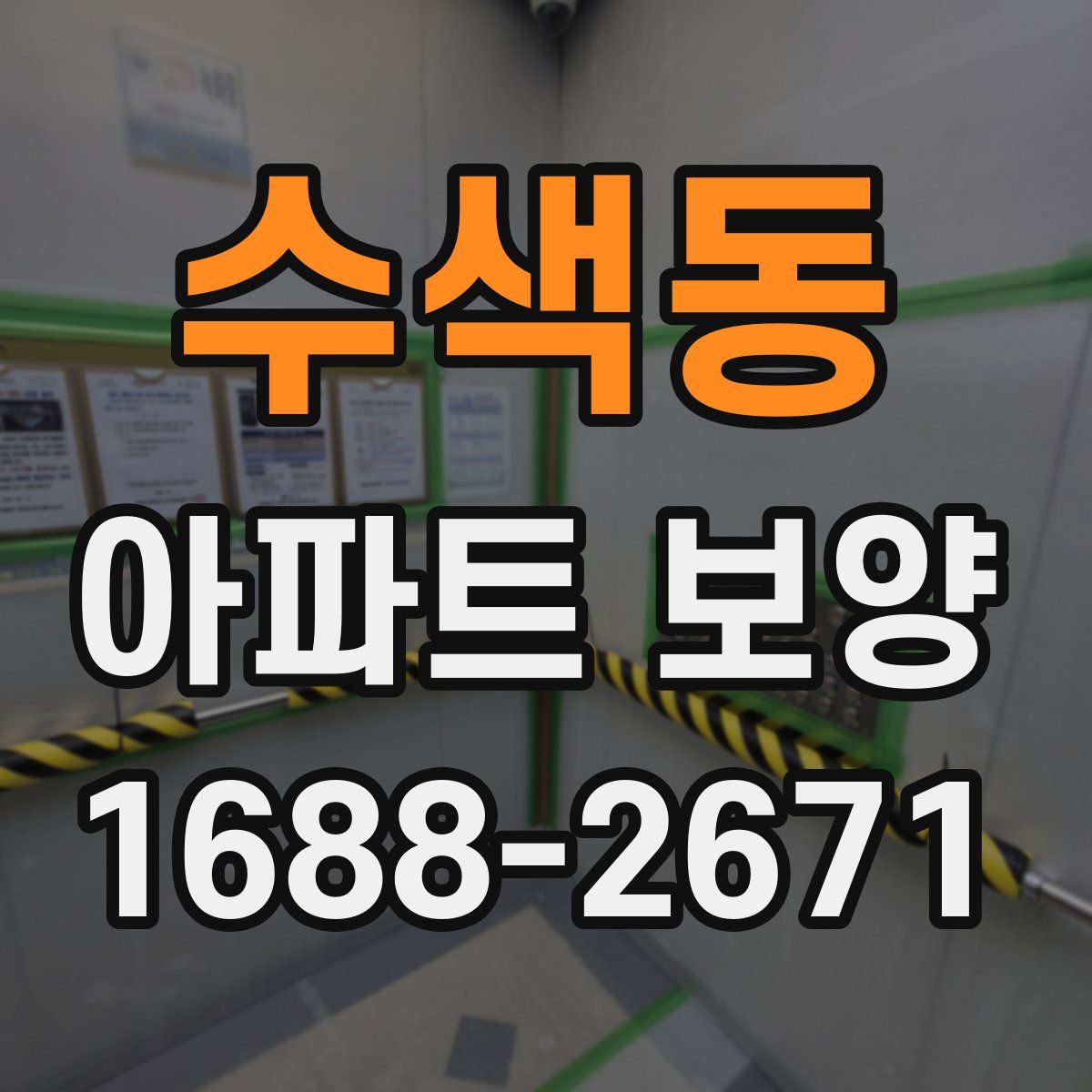 수색동 아파트 보양