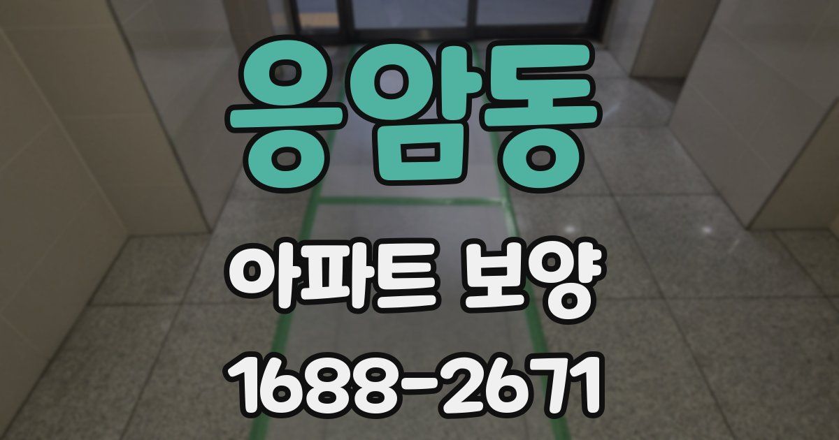 응암동 아파트 보양