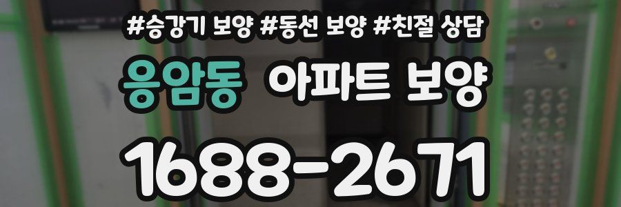 응암동 아파트 보양