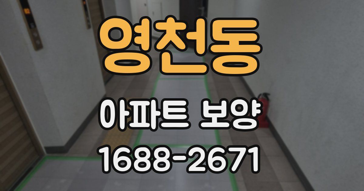 영천동 아파트 보양