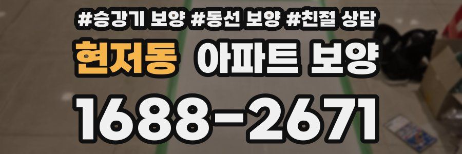 현저동 아파트 보양