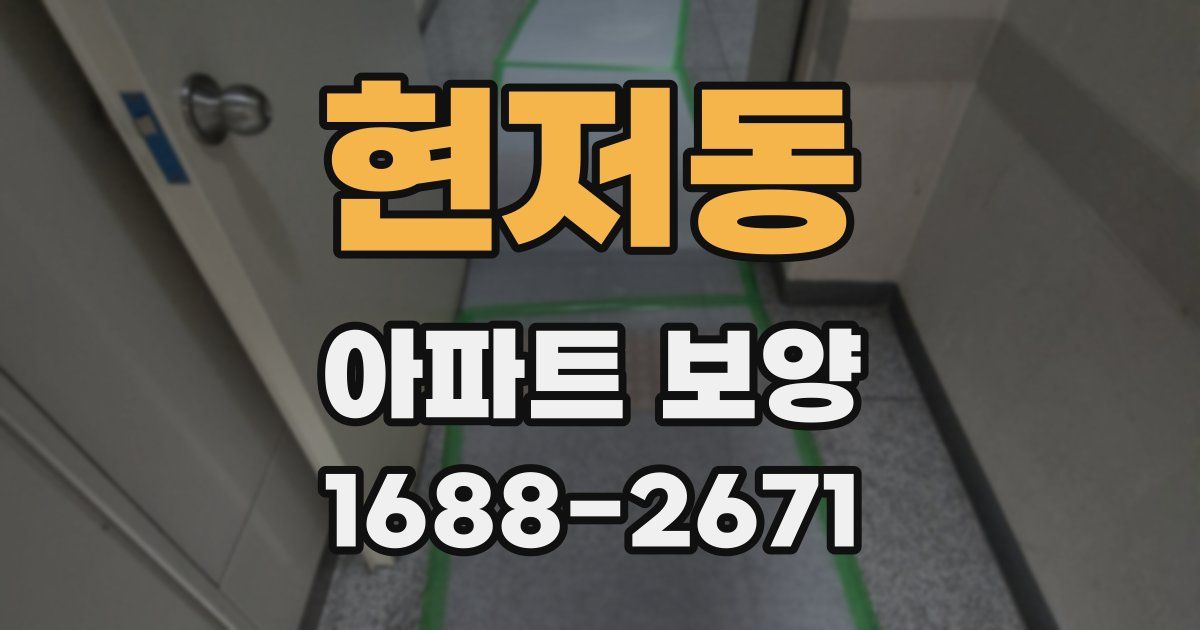 현저동 아파트 보양