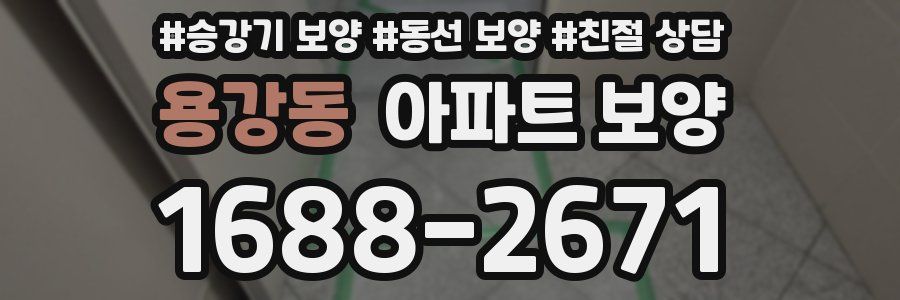 용강동 아파트 보양