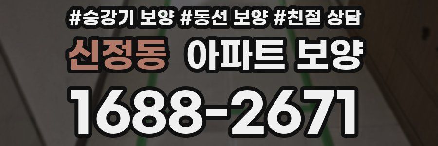 신정동 아파트 보양