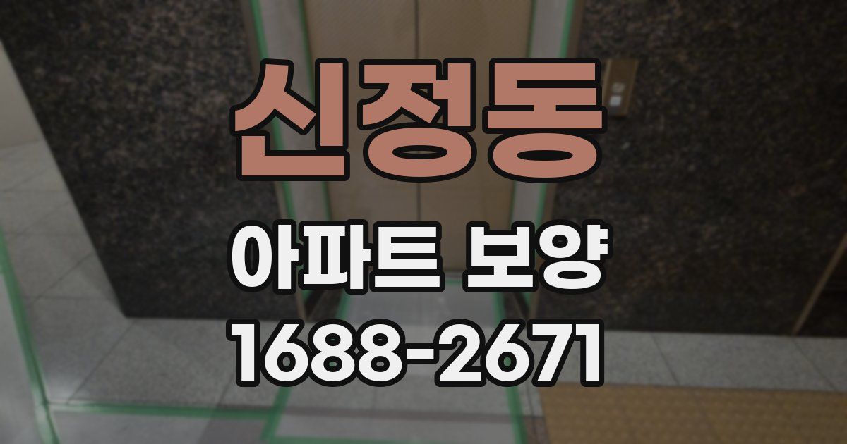 신정동 아파트 보양