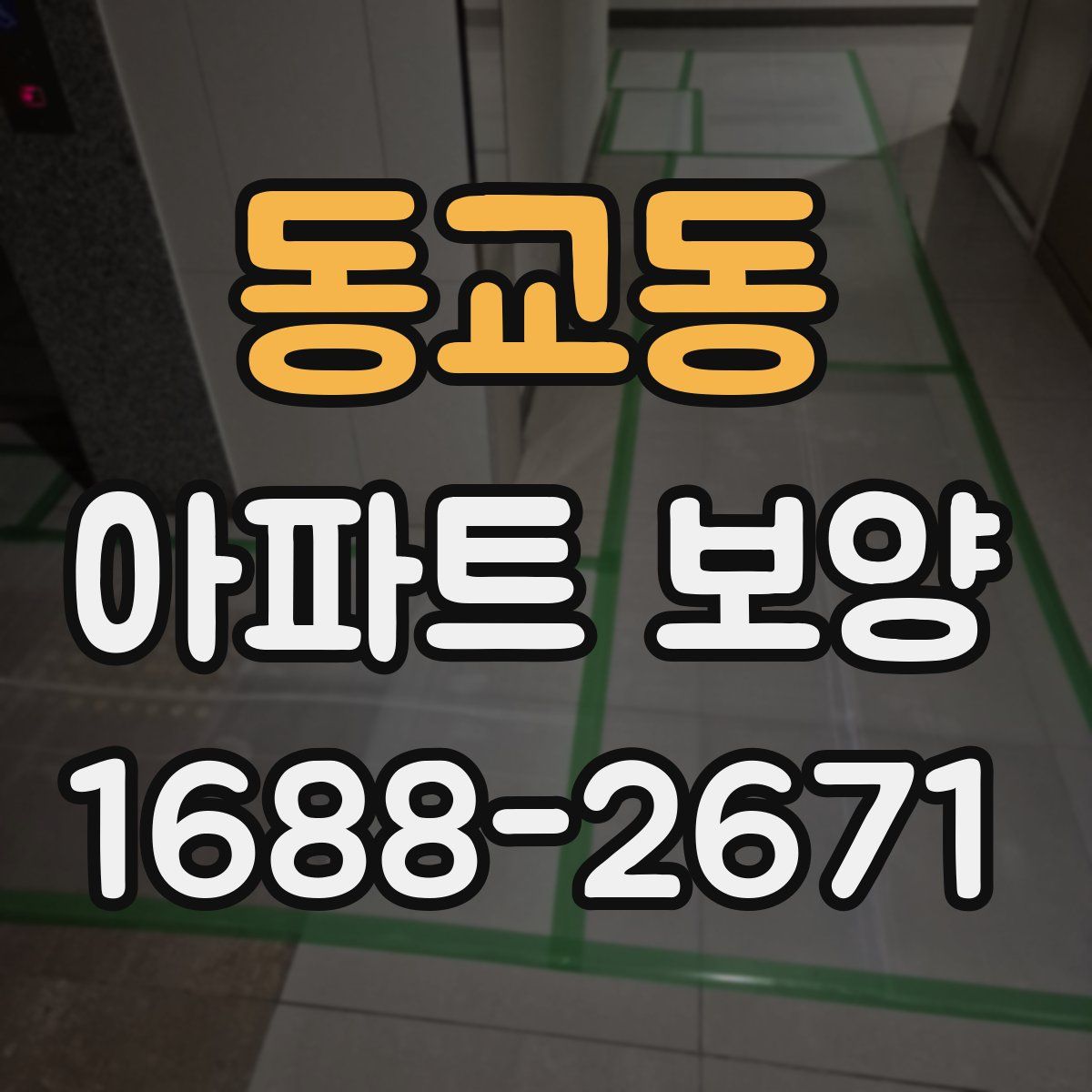 동교동 아파트 보양
