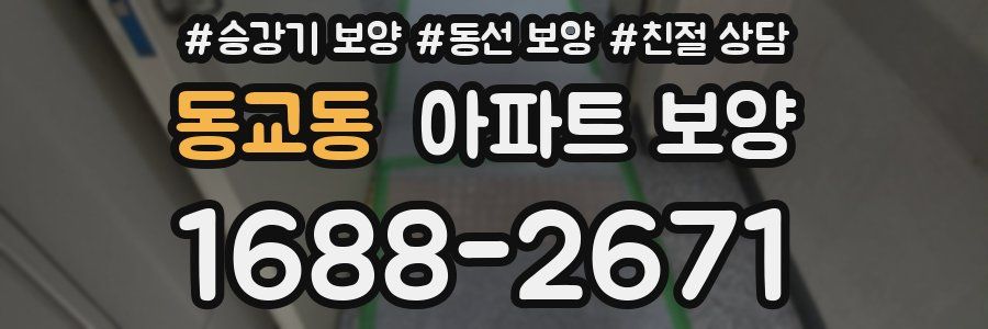 동교동 아파트 보양