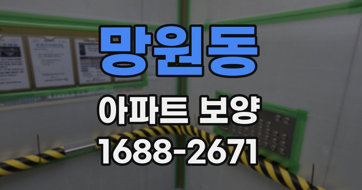 망원동 아파트 보양