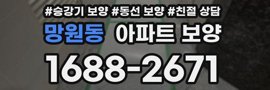 망원동 아파트 보양